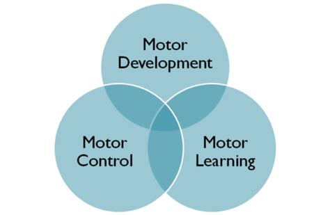 Motor Control Learning And Development