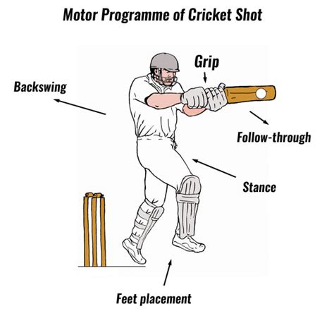 Motor Program Examples