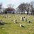 mount lawn cemetery philadelphia