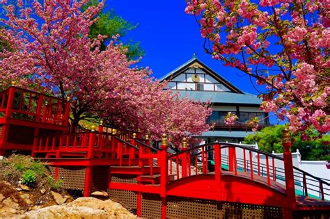 Indulge in Authentic Japanese Cuisine at the Foot of Mount Fuji - Discover Our Top Restaurant