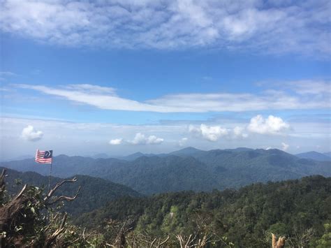 Matatag na Himagsikang Mount Gap Gus: Mahalin at Masilip ang Yaman ng Kagubatan!