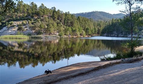Mount Lemmon Rose Canyon Hike Guide: Unforgettable Adventure Awaits