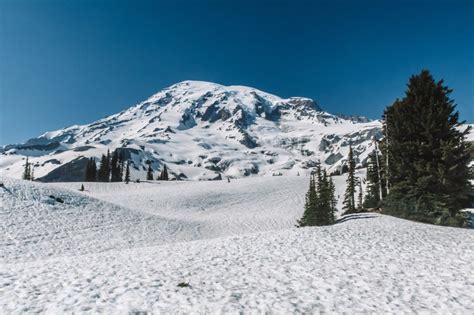 Mount Rainier June