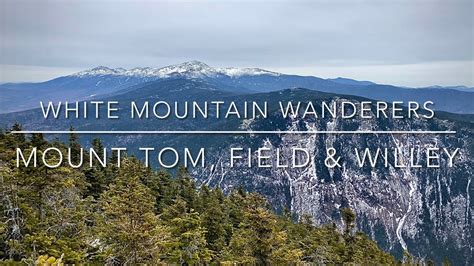 Mount Tom Field Willey
