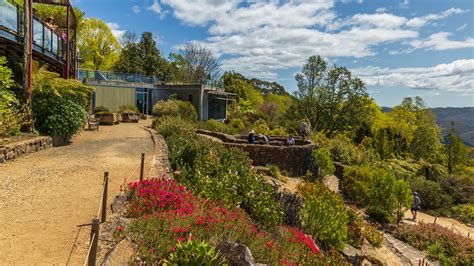 Mount Tomah Accommodation