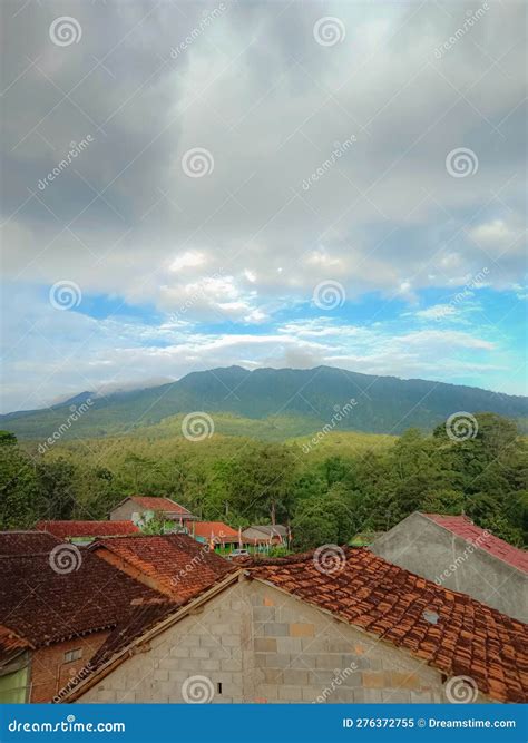 Mount