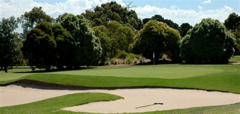 mount waverley golf course