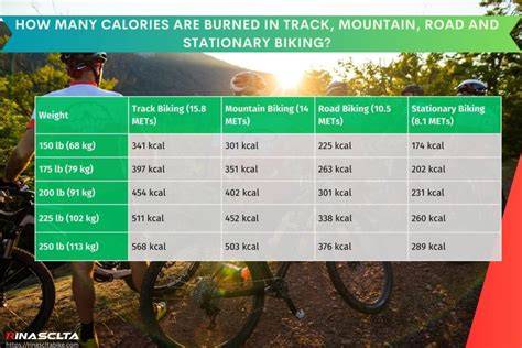 Simple Bike Safety Tips On Infographic [Beginner Guides] Biking
