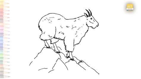 How To Draw A Mountain Goat Easy