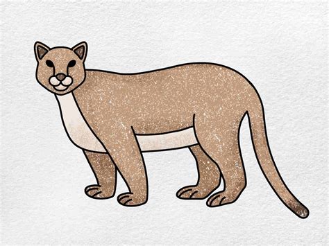 mountain lion drawing easy