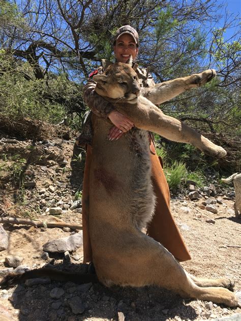 mountain lion hunting guides arizona