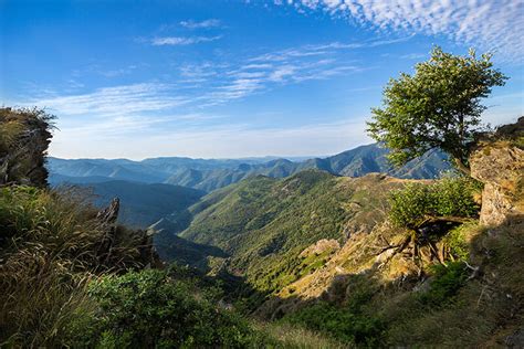 mountain range in france cevennes