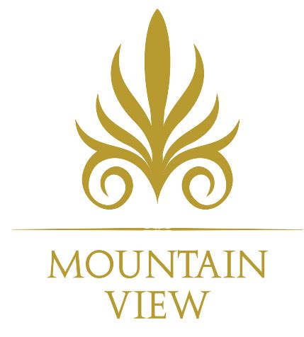 mountain view corporation llc