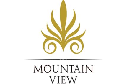 mountain view group llc
