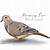 mourning dove animated png