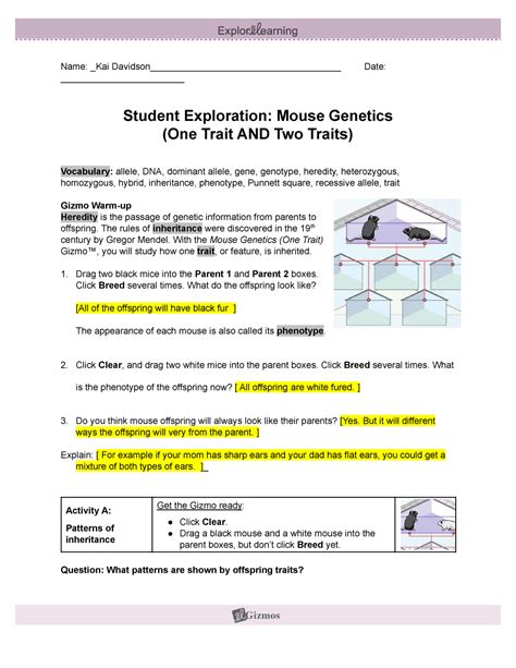 th?q=mouse%20genetics%20gizmo%20answer%20sheet - Exploring Mouse Genetics Gizmo Answer Sheet In 2023