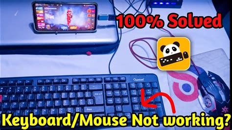 Mouse And Keyboard Not Connecting To Computer