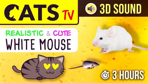 Mouse Game.for.cats