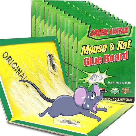 mouse glue boards