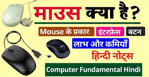 Mouse Hindi Name