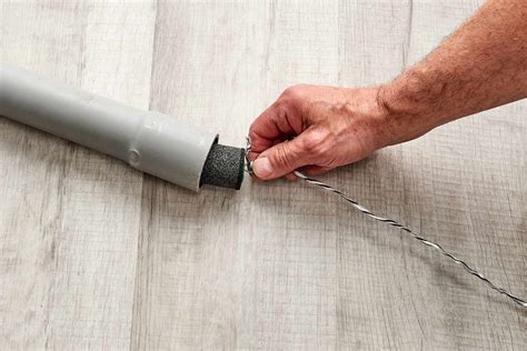 Mouse In Electrical Conduit