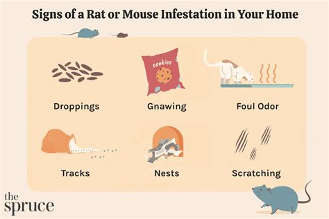 List Of Mouse Problem In House References