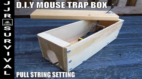 mouse trap box youtube