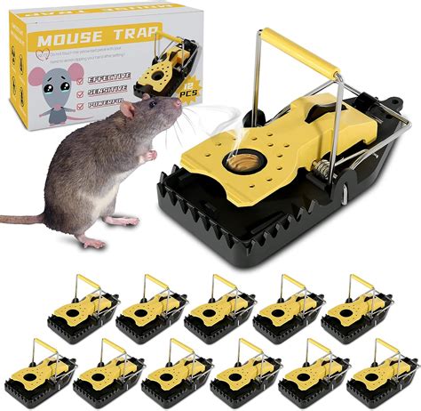 mouse trap near me