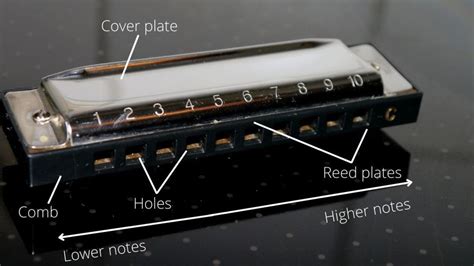 Mouth Organ And Harmonica Difference