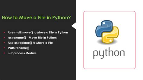 Move Files With Python