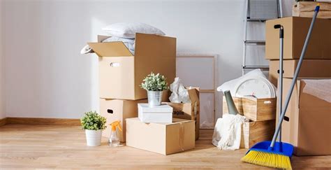 move-out cleaning services