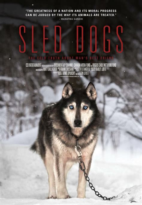 movie about a sled dog