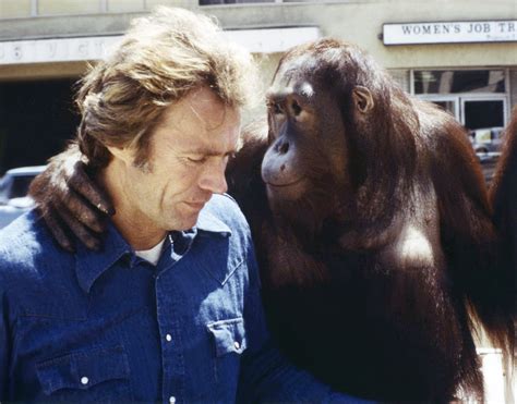 movie with clint eastwood and a monkey