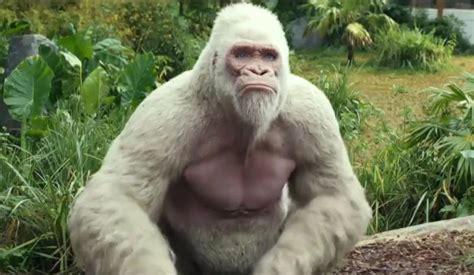 movie with giant white gorilla