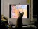 moviecat3