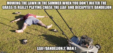 ðŸ”¥ 25+ Best Memes About Lawn Mowing Lawn Mowing Memes