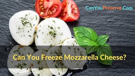Mozzarella Cheese Frozen