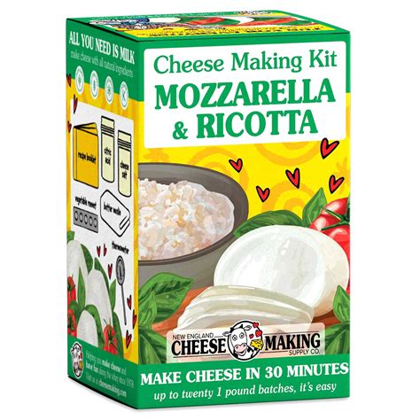 mozzarella cheese making kit