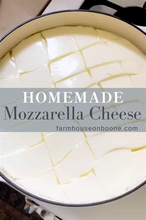 Mozzarella Diy