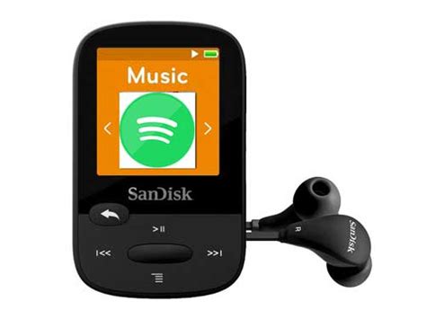mp3 player that supports spotify
