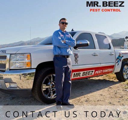 mr beez pest control