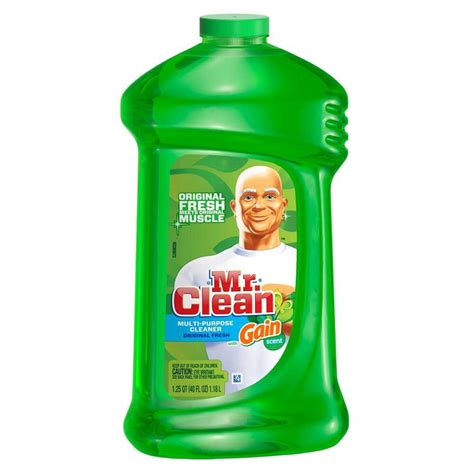 Mr Clean Multi Purpose
