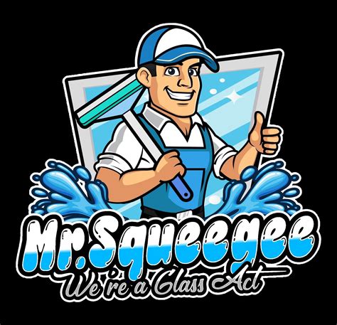 Mr Squeegee Hilton Head Sc