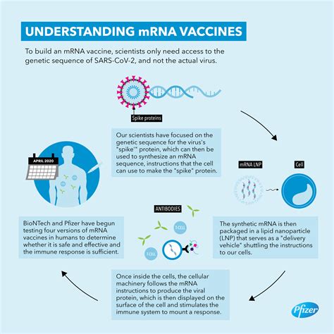 mrna based vaccines covid