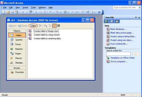 About Ms Access 2003 Portable Updated