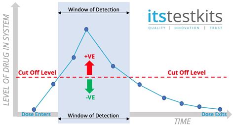 Ms Confirm Test Level