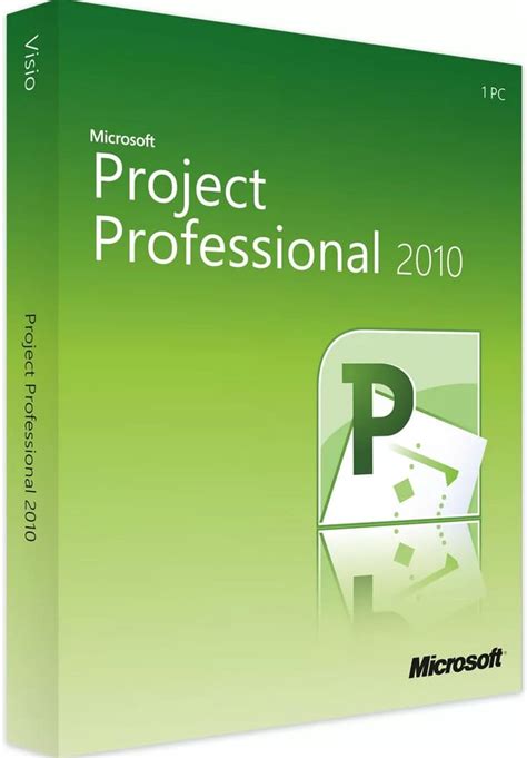 ms project professional 2010