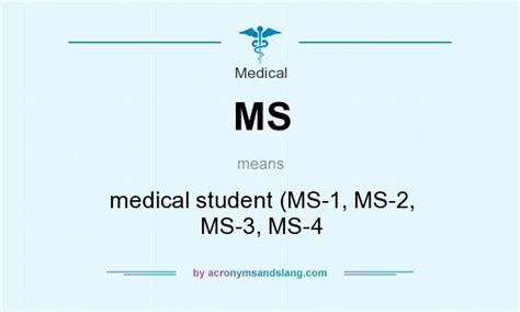 ms stand for in medical terms