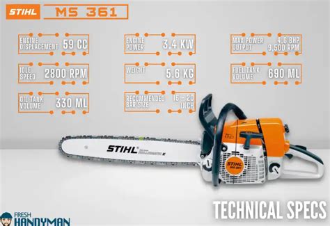 MS 361 YouTube