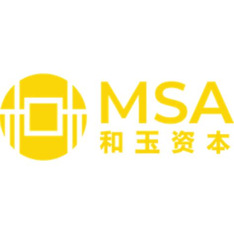 msa capital group new york